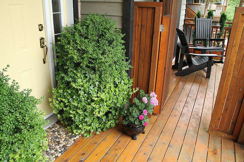 Ocean Mist Guesthouse Ucluelet Exterior foto